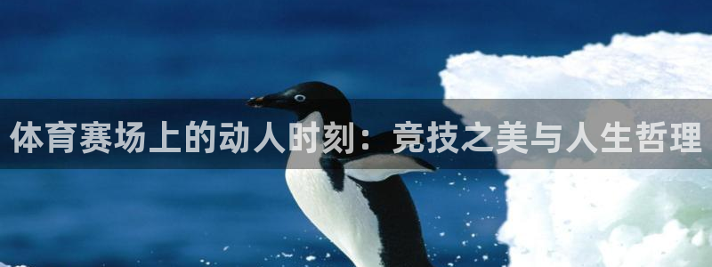 必发集团7790|体育赛场上的动人时刻：竞技之美与人生哲理
