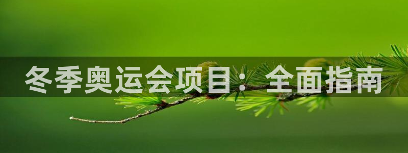 home88—必发唯一官网|冬季奥运会项目：全面指南