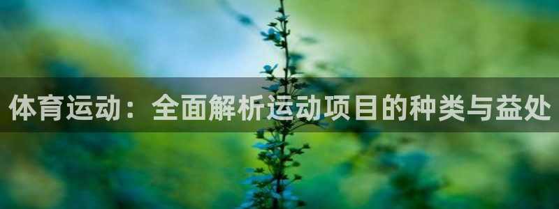 必发集团app下载|体育运动：全面解析运动项目的种类与益处
