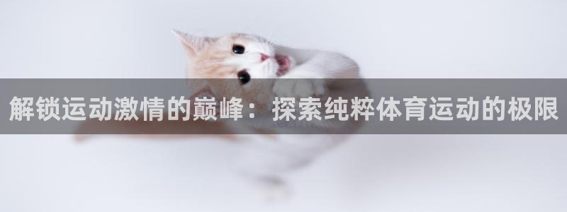 必发集团app下载|解锁运动激情的巅峰：探索纯粹体育运动的极