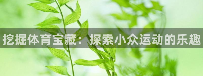 7790必发集团下载|挖掘体育宝藏：探索小众运动的乐趣