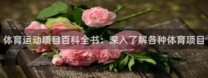 必发BIFA官方网站|体育运动项目百科全书：深入了解各种体育