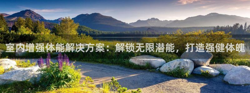 必发集团网址8860|室内增强体能解决方案：解锁无限潜能，打