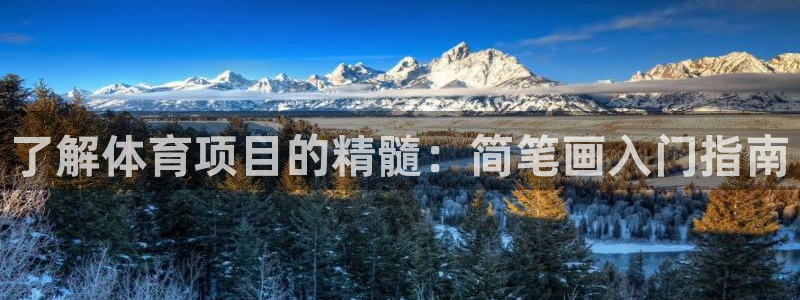 必发集团欢迎光临|了解体育项目的精髓：简笔画入门指南