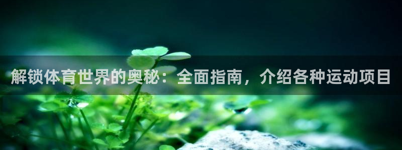 必发集团welcome|解锁体育世界的奥秘：全面指南，介绍各