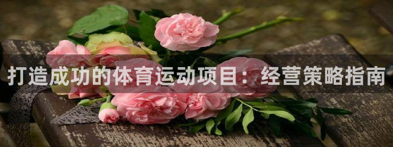 7790必发集团|打造成功的体育运动项目：经营策略指南