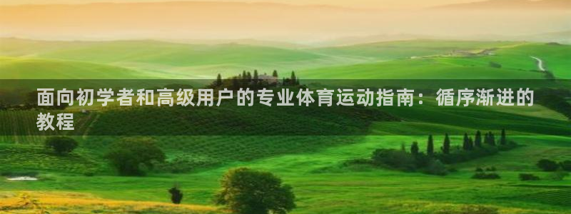 必发7790全部平台|面向初学者和高级用户的专业体育运动指南