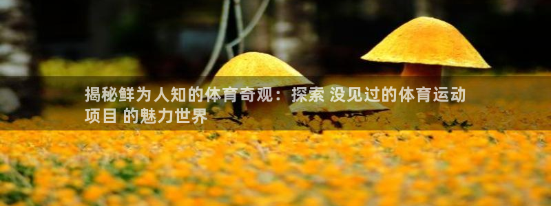 必发集团app下载|揭秘鲜为人知的体育奇观：探索 没见过的体
