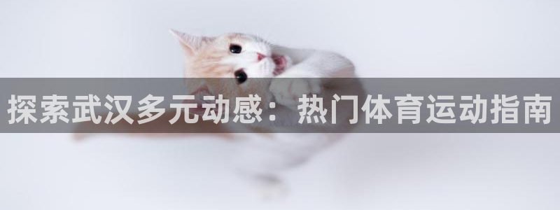 6690必发集团
