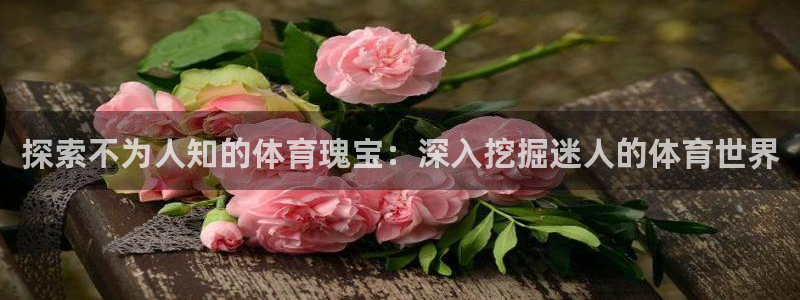 必发集团app下载|探索不为人知的体育瑰宝：深入挖掘迷人的体