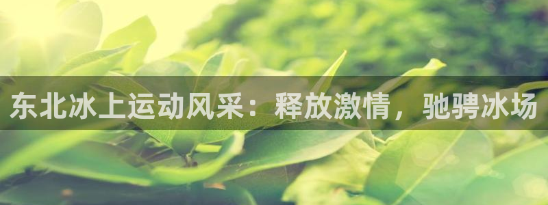 必发集团网站大全|东北冰上运动风采：释放激情，驰骋冰场
