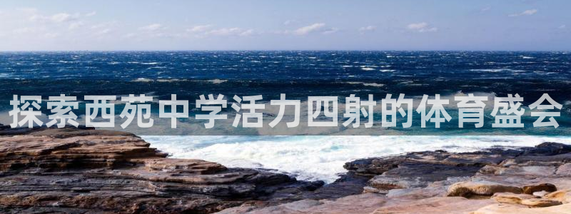 必发集团app下载