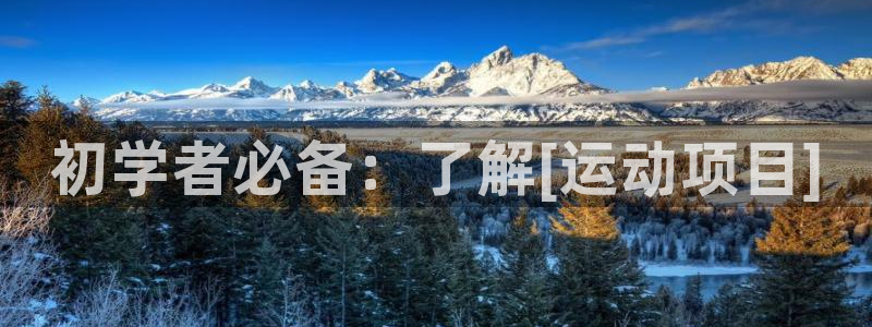 home88—必发唯一官网