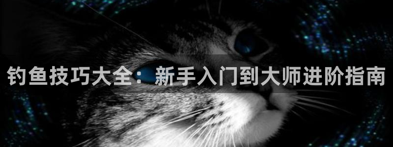 必发88手机版本登录|钓鱼技巧大全：新手入门到大师进阶指南