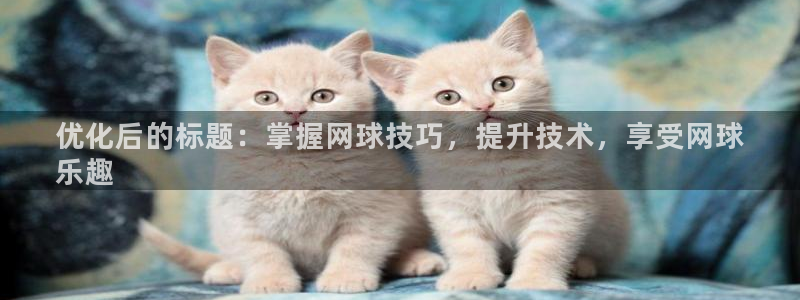 必发集团登录入口7790会员|优化后的标题：掌握网球技巧，提