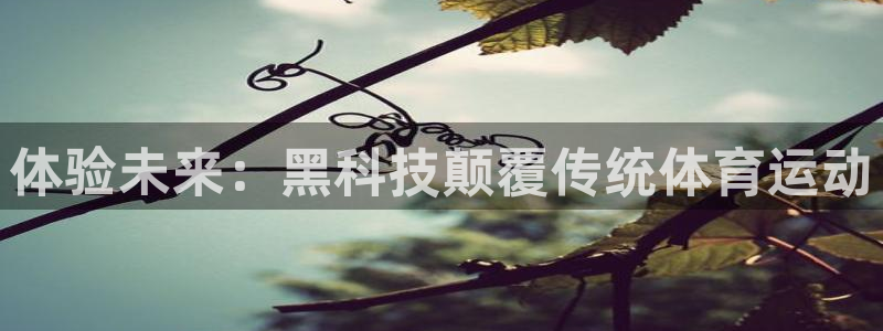 澳门必发集团|体验未来：黑科技颠覆传统体育运动
