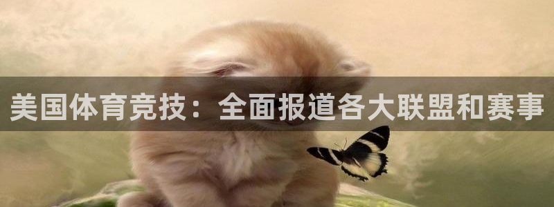 welcometo欢迎光临必发集团客服|美国体育竞技：全面报