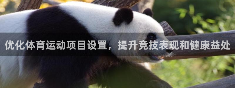 必发集团最新版本|优化体育运动项目设置，提升竞技表现和健康益