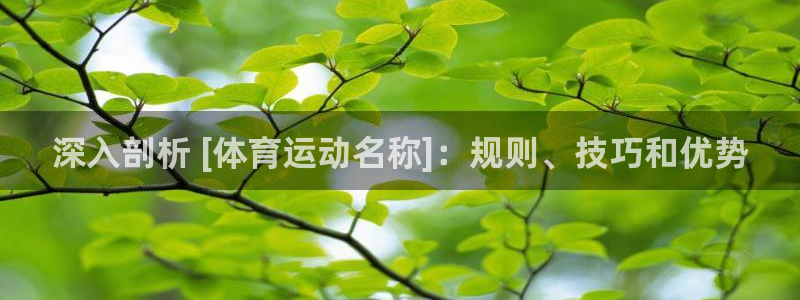 必发集团welcome欢迎光临|深入剖析 [体育运动名称]：