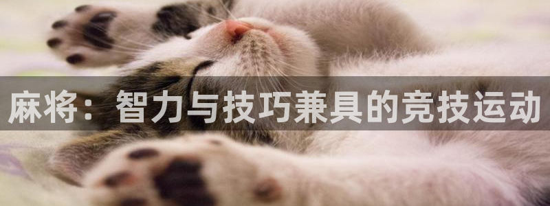 7790必发集团app|麻将：智力与技巧兼具的竞技运动