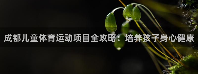 必发集团9778|成都儿童体育运动项目全攻略：培养孩子身心健