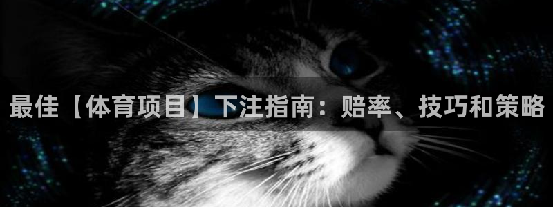 6690必发集团|最佳【体育项目】下注指南：赔率、技巧和策略