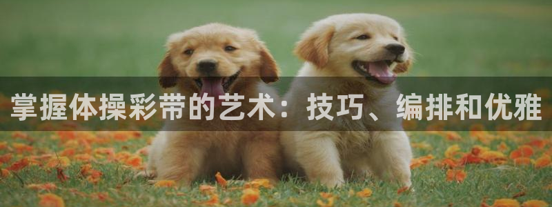 必发集团登录入口7790会员|掌握体操彩带的艺术：技巧、编排