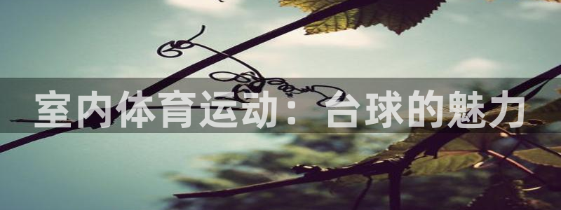 必发集团最新版本