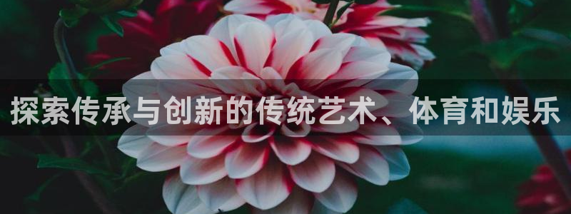 必发集团网站检查线路|探索传承与创新的传统艺术、体育和娱乐