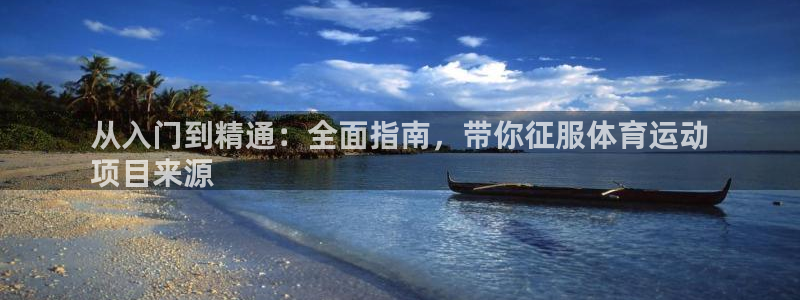 必发集团网站大全|从入门到精通：全面指南，带你征服体育运动
