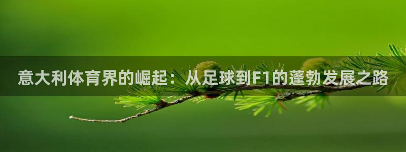 必发集团网站检查线路|意大利体育界的崛起：从足球到F1的蓬勃