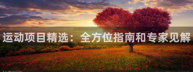 必发7790电子集团线上平台|运动项目精选：全方位指南和专家