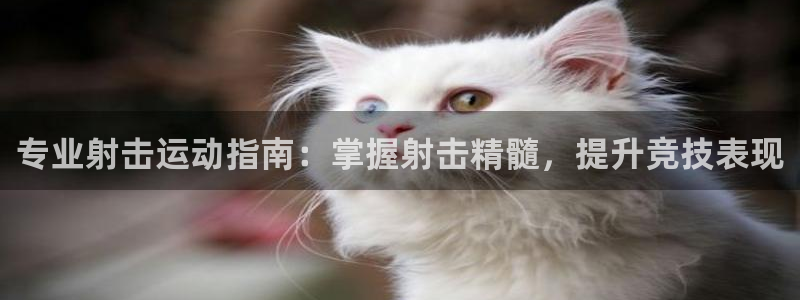 必发集团7790|专业射击运动指南：掌握射击精髓，提升竞技表