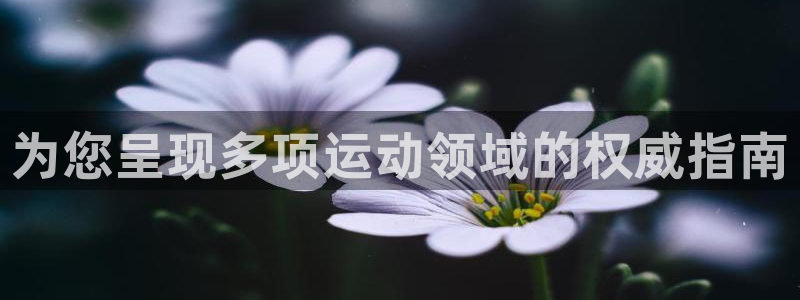 必发集团网站检查线路|为您呈现多项运动领域的权威指南