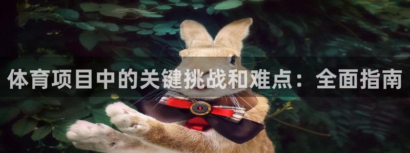 必发集团网站大全|体育项目中的关键挑战和难点：全面指南