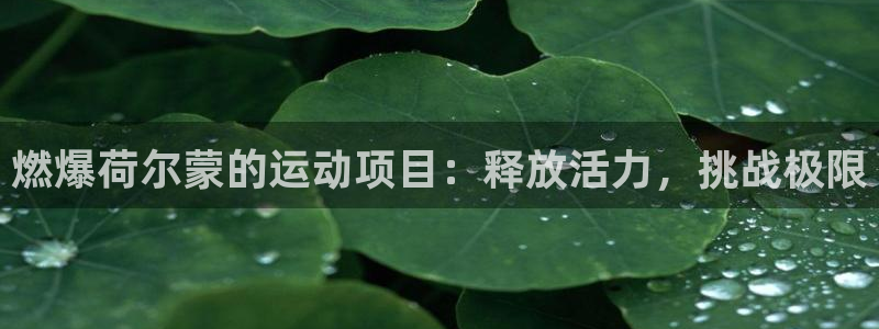 必发88官网|燃爆荷尔蒙的运动项目：释放活力，挑战极限