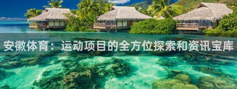 澳门必发集团|安徽体育：运动项目的全方位探索和资讯宝库