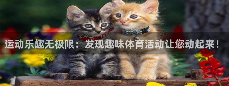 运动乐趣无极限：发现趣味体育活动让您动起来！