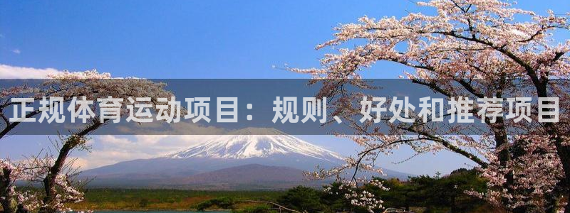 必发集团登录入口7790|正规体育运动项目：规则、好处和推荐