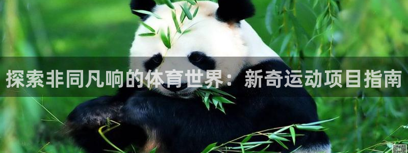 7790必发集团app|探索非同凡响的体育世界：新奇运动项目