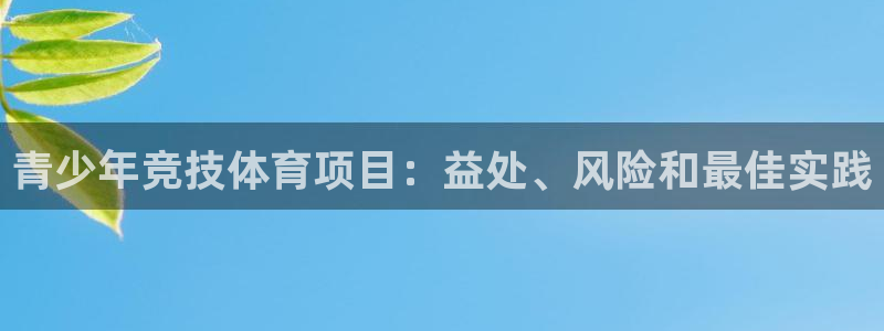 必发7790全部平台|青少年竞技体育项目：益处、风险和最佳实