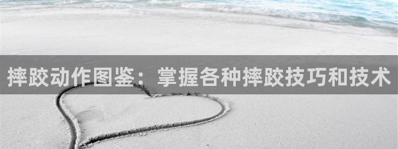 摔跤动作图鉴：掌握各种摔跤技巧和技术
