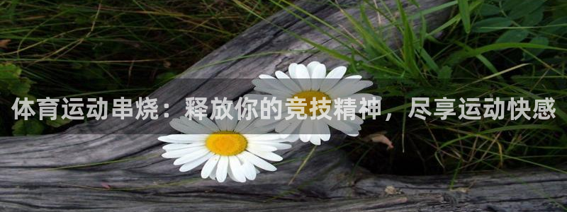 必发BIFA官方网站|体育运动串烧：释放你的竞技精神，尽享运