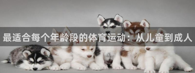 home一必发官网
