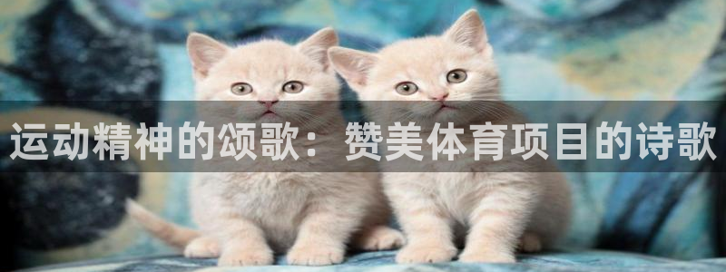 必发88官网|运动精神的颂歌：赞美体育项目的诗歌