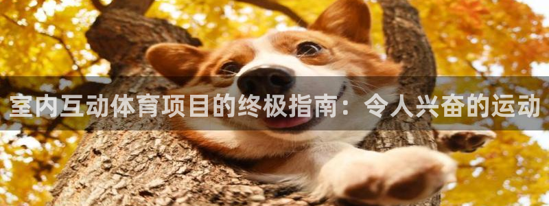 必发bf88|室内互动体育项目的终极指南：令人兴奋的运动