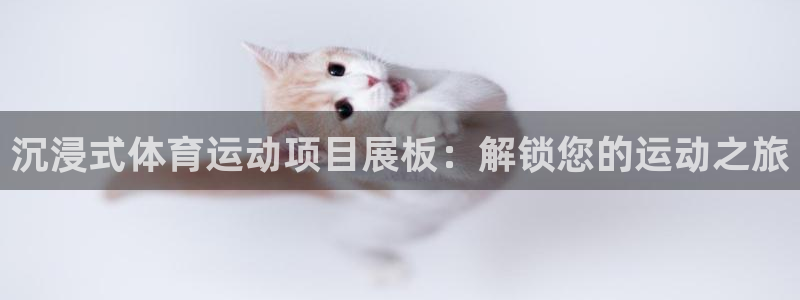必发集团平台|沉浸式体育运动项目展板：解锁您的运动之旅