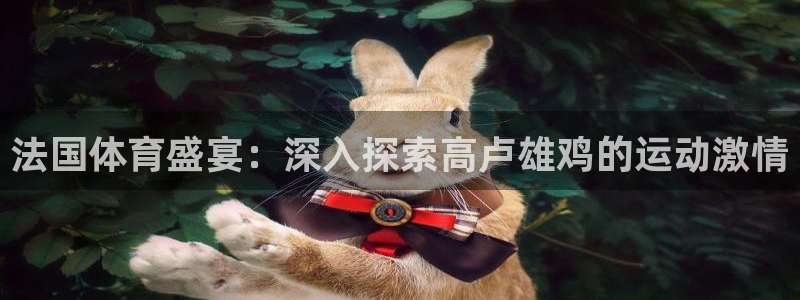 必发BIFA官方网站|法国体育盛宴：深入探索高卢雄鸡的运动激